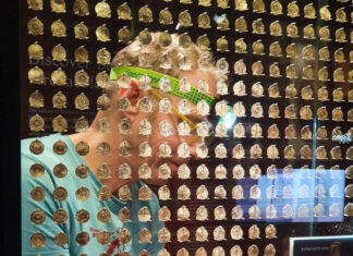 Lenborough Anglo-Saxon Hoard on Display