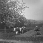 02-ackerarbeit-dig-27411-lm-80509603