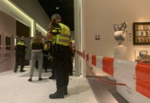 Brazen Armed Robbery at TEFAF Art Fair