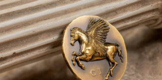 Numismatic Icons – Pegasos