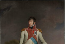 A Bonaparte on Holland’s Coins