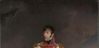 A Bonaparte on Holland’s Coins