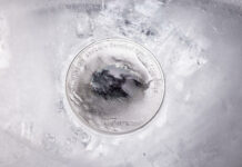 CIT’s Mount Vinson Closes “The 7 Summits” Series