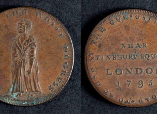 Amelia Newsham: A Transatlantic Journey