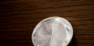 CIT’s Circles of Life