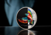 CIT’s Eclectic Nature – Roller