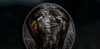 CIT’s Hunters by Night – Python