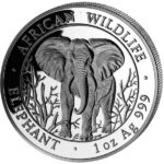 04_71601002004 20_VS