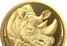 The New Rhino Collector Coin from South Africa