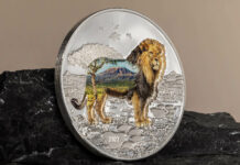 CIT’s Into the Wild – Lion