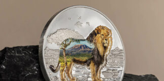 CIT’s Into the Wild – Lion