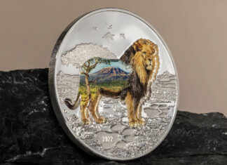 CIT’s Into the Wild – Lion