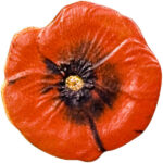 07_23287_coin_reverse