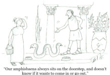 Our Cartoon: Franklin’s World