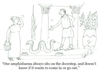 Our Cartoon: Franklin’s World