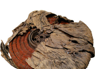 Numismatic Puzzle: Feather Money