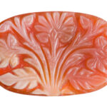 01-Ashoka tree inv.GS 2022 4.357 © RMO