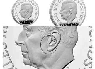 A Little Birdie Told Me…