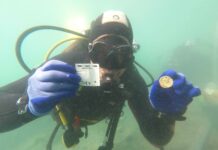 Roman Shipwreck Found in the Adriatic Sea