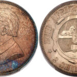 10-1165_south-africa-8865316