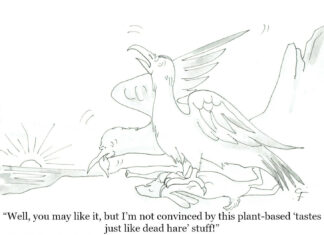 Our Cartoon: Franklin’s World